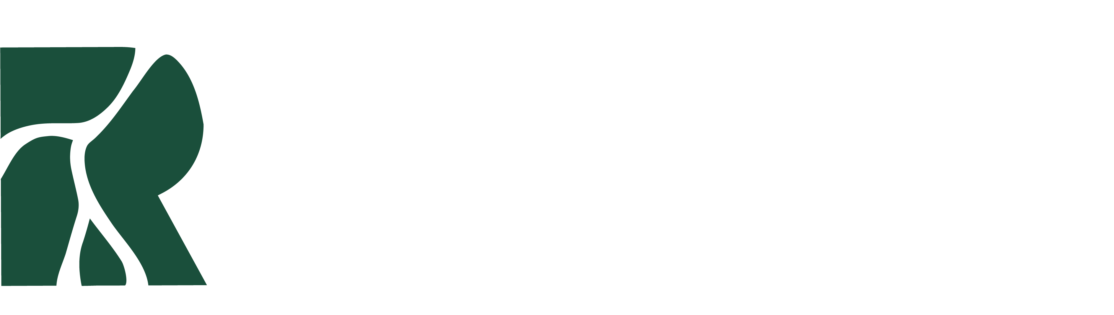 Rootz Construction